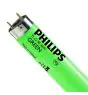 Philips MASTER TL-D 36W - Grün | 120cm